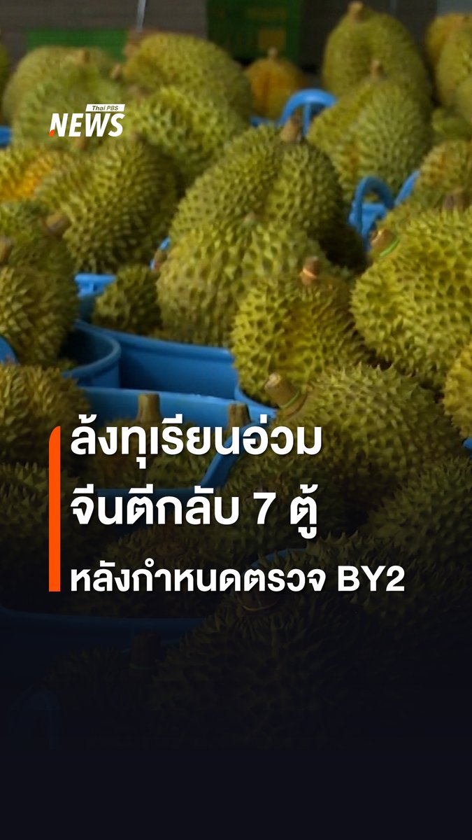 เจ้าของล้งใน อ.ทุ่งตะโก จ.ชุมพร ระบุข้อกำหนดใหม่ของศุลกากรจีน ที่กำหนดให้ต้องมีการแนบผลการตรวจสารชุบ “Basic Yellow 2” หรือ BY2 ตั้งแต่ 10 มกราคมที่ผ่านมา กระทบการส่งออก ทุเรียนถูกตีกลับ 7 ตู้ เสียหายกว่า 20 ล้านต้องนำกลับมาขายราคาถูก หวังรัฐเร่งแก้ปัญหาอย่างรวดเร็ว #ทุเรียน #ล้ง #ชุมพร #สารชุบ #BY2 #จีน #ทุเรียนส่งออก #BasicYellow2 #ข่าวไทยพีบีเอส #ข่าวที่คุณวางใจ #ThaiPBSnews