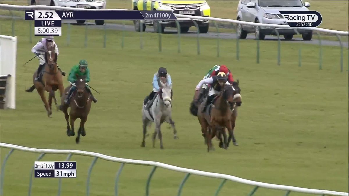 Busy finish 🏴󠁧󠁢󠁳󠁣󠁴󠁿 Ginger Mail digs deep to edge the feature hurdle Ayr Racecourse and complete a double for the Nick Alexander team 🔥 Bruce Lynn