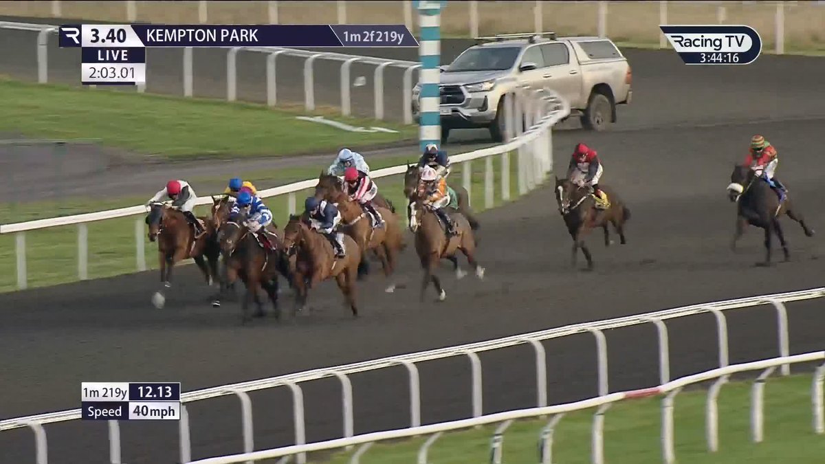 Sea The Stars filly beats a Sea The Stars colt ⚔️ 350,000gns yearling buy Amazonian, who attracted support throughout the day, makes a winning debut as she edges out previous winner Almosh'her. A decent novice event Kempton Park Racecourse ✊ Ralph Beckett | Hector Crouch