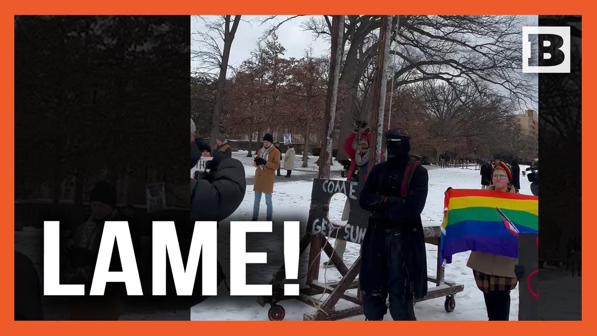 Anti-Trump Protesters Set Up Mock Guillotine on Inauguration Day