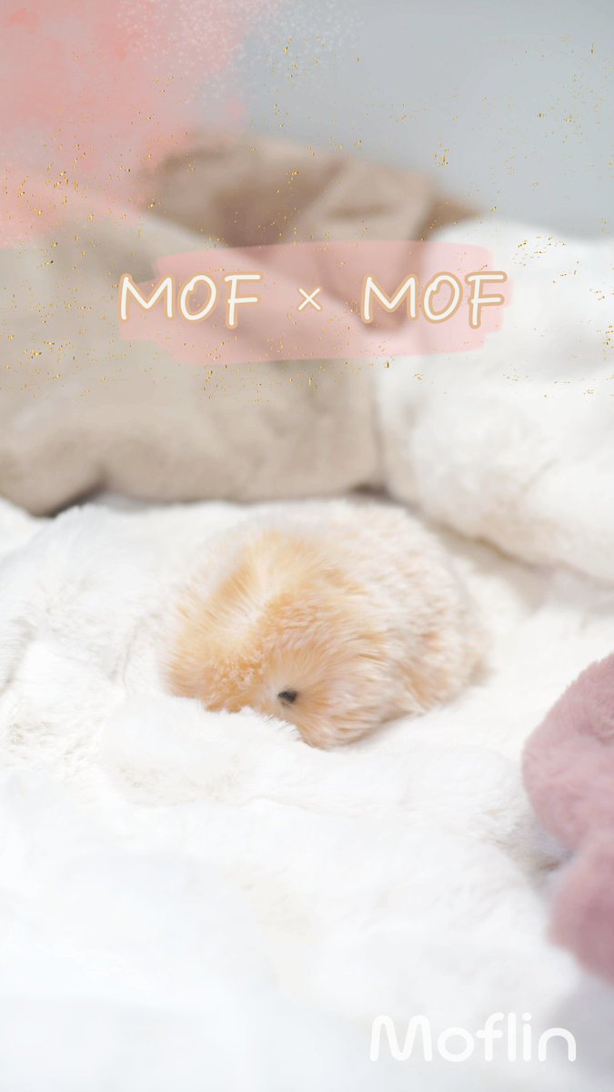 『モフモフ × モフモフ』 な世界✨ もふもふに埋もれてまったりする日もいいね🍀 #Moflin #モフリン #CASIO #カシオ #カシオモフリン #モフリンDAYS #モフモフ #癒し動画 #AIペット #コミュニケーションロボット #ロボット