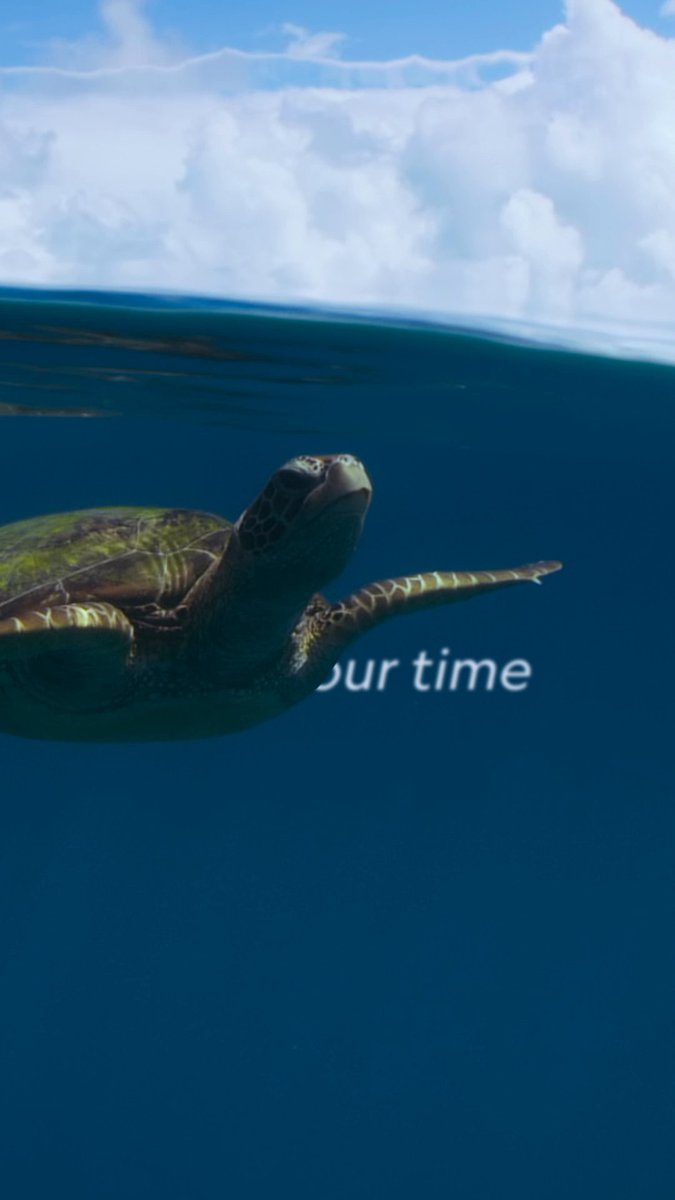 Who knew breathing with a turtle could be so relaxing 😌 Find out more about the benefits of meditation: