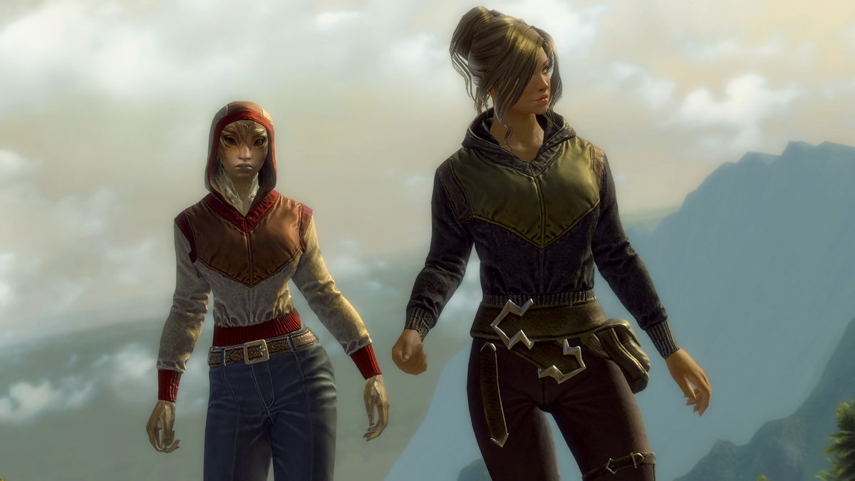Whether you prefer the bustling city or the dangerous wilderness, the Hooded Windbreaker Package is a stylish and useful fashion choice. Wear this new chest armor with the hood up or down: