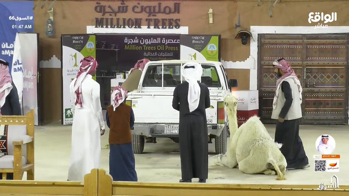 بعد عودة عبدالله آل عبدان بالقعود يعلن انسحابه ‼️😨 لمتابعة المقطع كامل عبر قناة اليوتيوب 👇🏻: #السوق66 | عبدالله ال عبدان اليامي