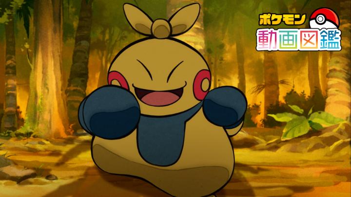 今回はマクノシタのお話だよ。 森の中できびしいけいこを繰り返すマクノシタ。 木の幹に張り手していたと思ったら……!? 続きは公式YouTubeチャンネルでみてね！ #ポケモン動画図鑑