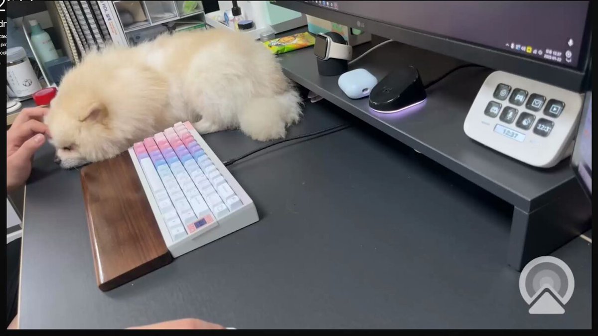 이러고 10분동안 만짐