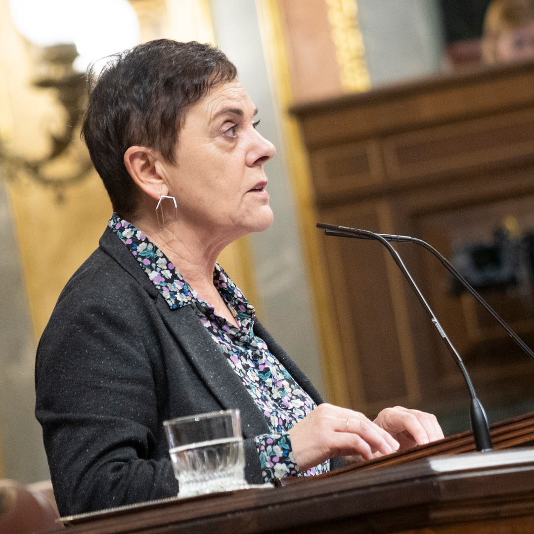 Si no suben las pensiones, si caen los descuentos en el transporte público, si no se prohiben los cortes de suministros básicos y los desahucios de familias vulnerables, quien pierda será la ciudadanía. La ciudadanía no debe pagar por los cálculos partidistas de unos y otros.
