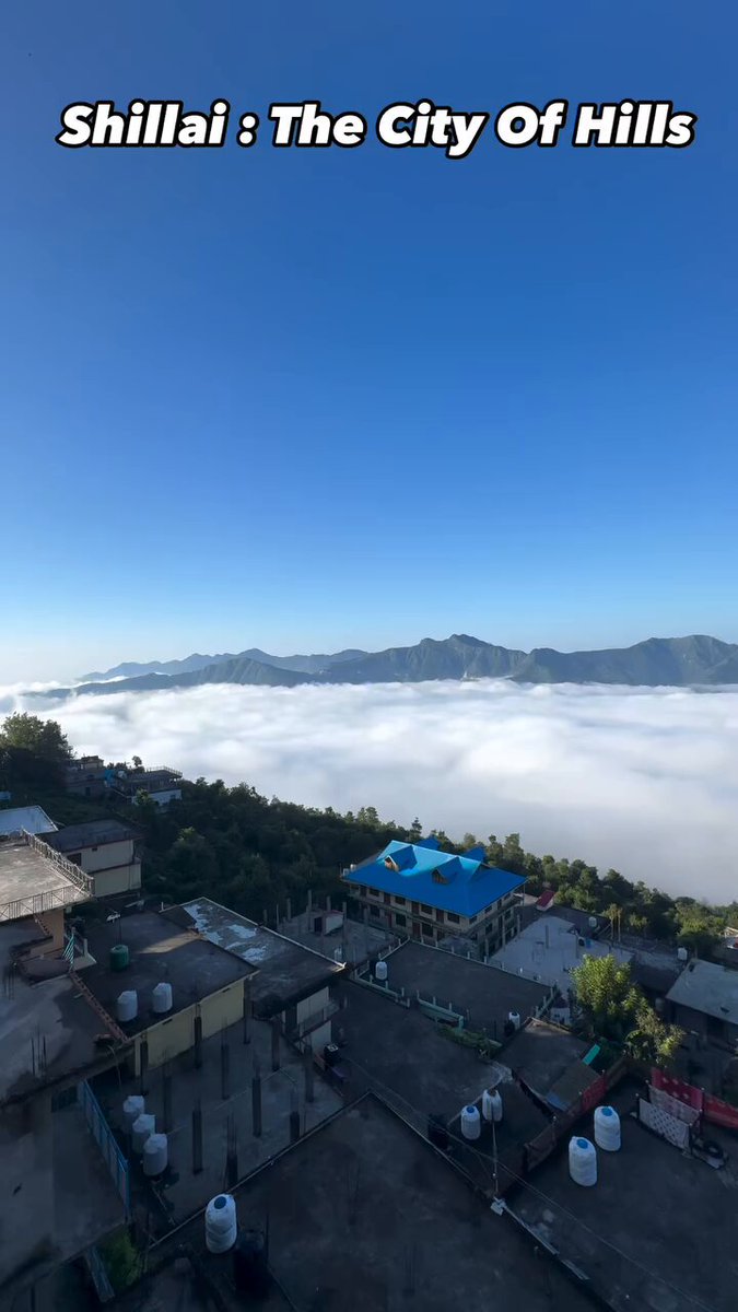 Shilai views in Himachal ♥️
