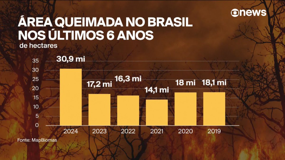 A área queimada no Brasil cresceu quase 80% em 2024. O bioma mais afetado foi a Amazônia, com mais da metade da área queimada. Os dados são de levantamento do MapBiomas. Priscilla Moraes detalha. ➡ Assista ao #ConexãoGloboNews: #GloboNews