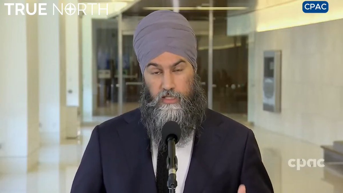 NDP Leader Jagmeet Singh calls US President Trump “a bully,” and then calls to halt the flow of Canada’s critical minerals to the U.S. to target Trump’s “billionaire buddy” Elon Musk.