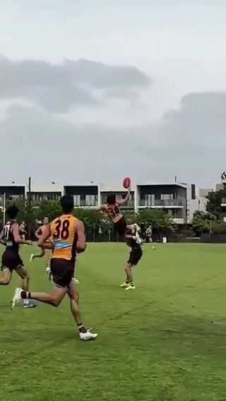 The Wizard doesn't need a broomstick to fly 🧙♂️ (via: Hawthorn FC)