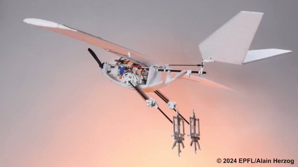 EPFL researchers have built a drone that can walk, hop, and jump into flight with the aid of birdlike legs, greatly expanding the range of potential environments accessible to unmanned aerial vehicles. RAVEN (Robotic Avian-inspired Vehicle for multiple ENvironments), designed based on perching birds like ravens and crows that frequently switch between air and land, the multifunctional robotic legs allow it to take off autonomously in environments previously inaccessible to winged drones. Check out the full article here: Image/video credits: EPFL / Ulrich M. / Akshet Patel #drones #robotics #technology #engineering #stem #innovation
