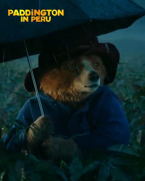 Shake off the winter blues with #PaddingtonInPeru – exclusively in theatres February 14.
