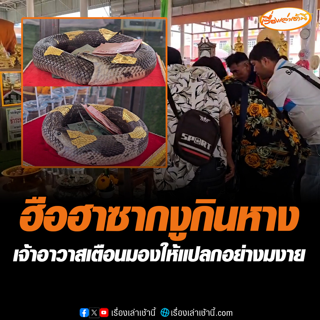 ชาวบ้านแห่ดูซากงูกินหาง ที่วัดท่าเสา จ.สมุทรสาคร หลังพระลูกวัดไปเก็บกวาดกองไม้แล้วเจอ ด้านเจ้าอาวาสเผยมองให้เป็นเรื่องแปลก อย่างมงาย คอหวยไม่พลาดจุดธูปขอเลข #เรื่องเล่าเช้านี้ #ข่าวช่อง3 #ข่าวภูมิภาค #สมุทรสาคร #งูกินหาง