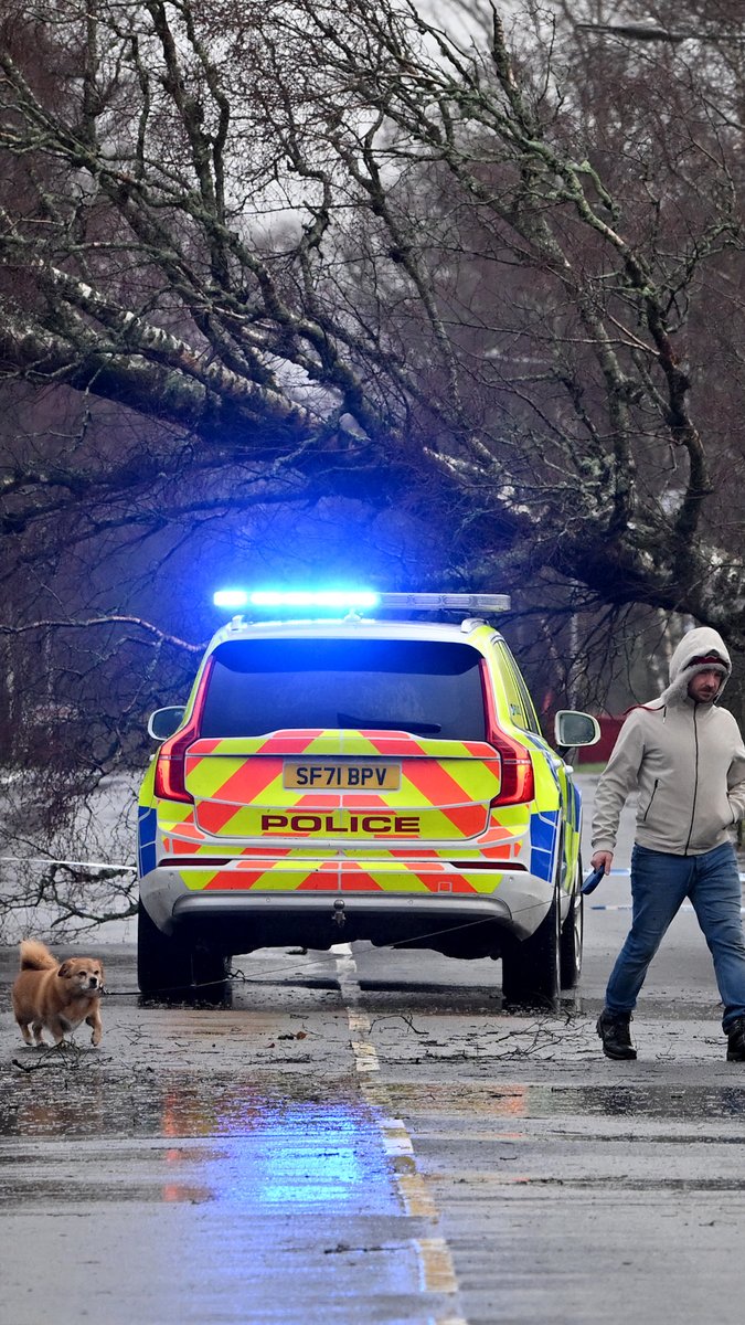 VIDEO: 🇮🇪 🏴󠁧󠁢󠁳󠁣󠁴󠁿 Violent storm Eowyn hits Ireland and Scotland Ireland has recorded its strongest-ever wind gusts as Storm Eowyn barrelled in from the Atlantic, leaving hundreds of thousands of homes without power, grounding flights and shutting schools #AFPVertical
