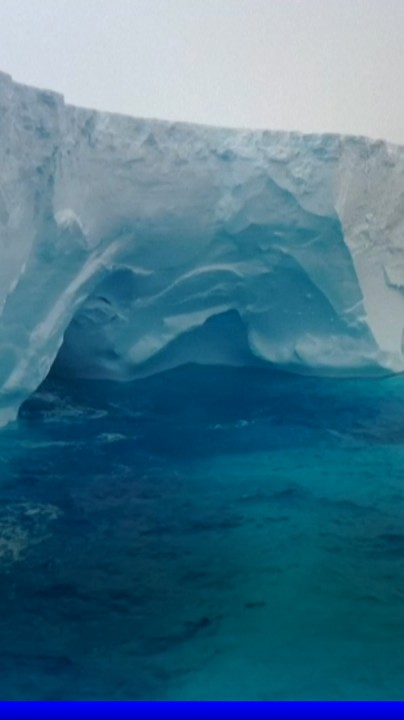 Le plus gros iceberg au monde fonce droit sur une île d'Antarctique peuplée de manchots et de phoques