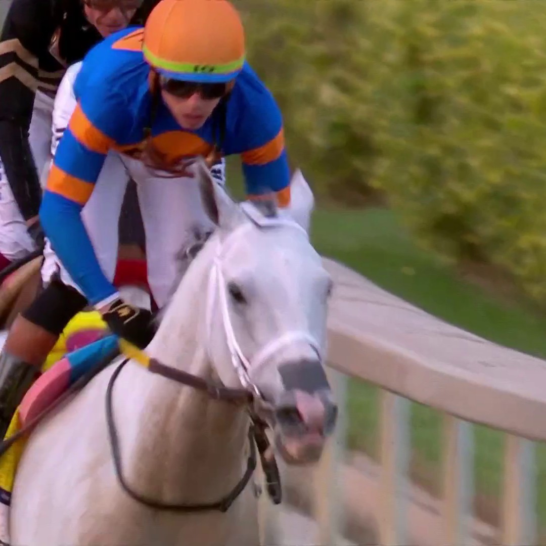 White Abarrio RUNS AWAY with a dominant Pegasus World Cup victory! 💨