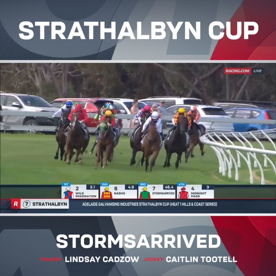 Wow! What a call, what a story! 👑 Stormsarrived, who was recently purchased for $1,000, just won the 2025 Strathalbyn Cup at $46 💰