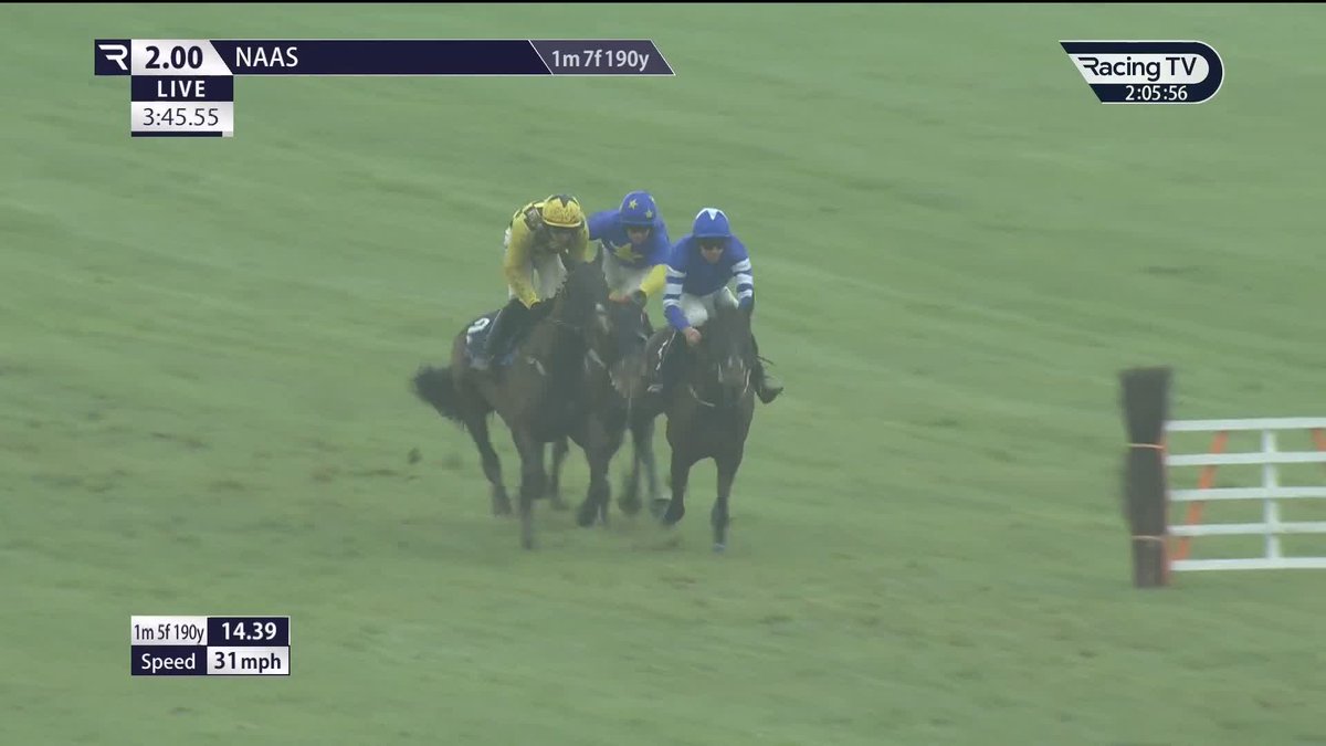Champion Hurdle contender? 👀 Anzadam retains his unbeaten tag in impressive fashion to win the Grade 3 Naas Racecourse Business Club Limestone Lad 🟡⚫️ Willie Mullins | Paul Townend