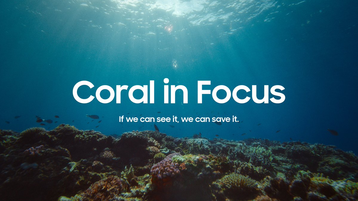 Coral reefs are vital to our planet’s health but are in peril. Our new documentary, 'Coral in Focus', shows how Samsung and SeaTrees are advancing restoration with Ocean Mode, a Galaxy camera feature created for this initiative. #GalaxyAI
