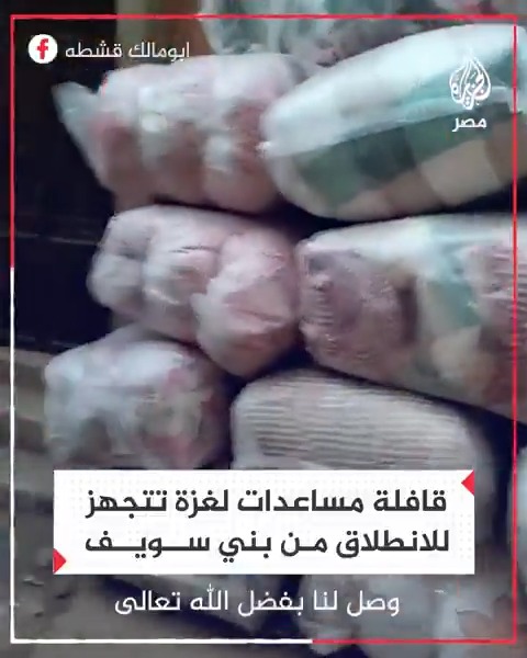 أهالي بني سويف يجهزون قافلة مساعدات استعدادًا لتوجهها إلى قطاع غزة