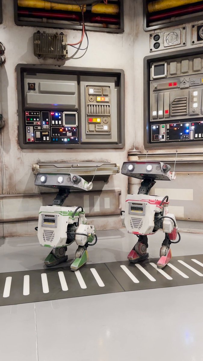 They’ve explored the galaxy and now they’re adventuring through the high seas. Our BDX droids are off on this once in a lifetime journey aboard the Disney Wish 🛳️✨ #DisneyCruiseLine #StarWars