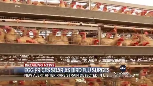 A fast-moving bird flu outbreak has sent egg prices skyrocketing. A rare strain of the virus has been detected on a farm in California, which was forced to destroy nearly 119,000 birds, according to a global health alert. Erielle Reshef reports.
