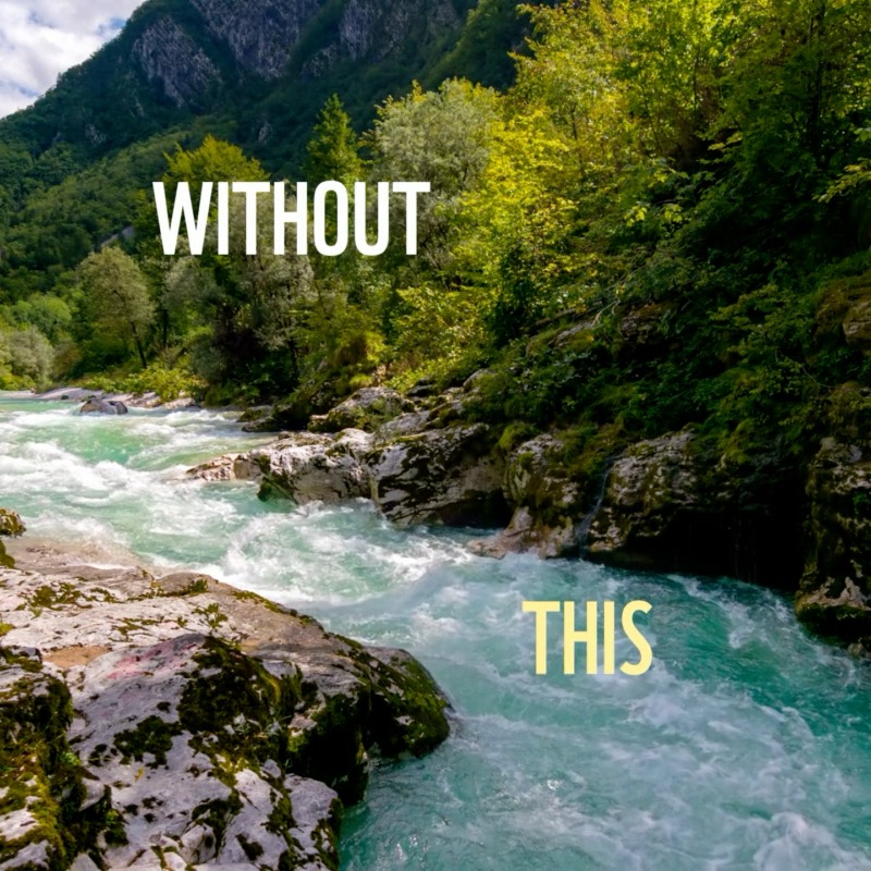 If we lose rivers, lakes and wetlands, we lose the water that sustains us, our food, and other species. ⌛ Without urgent action, over half of the world’s population could face severe water shortages by 2030. We must band together to protect nature and our freshwater 💙