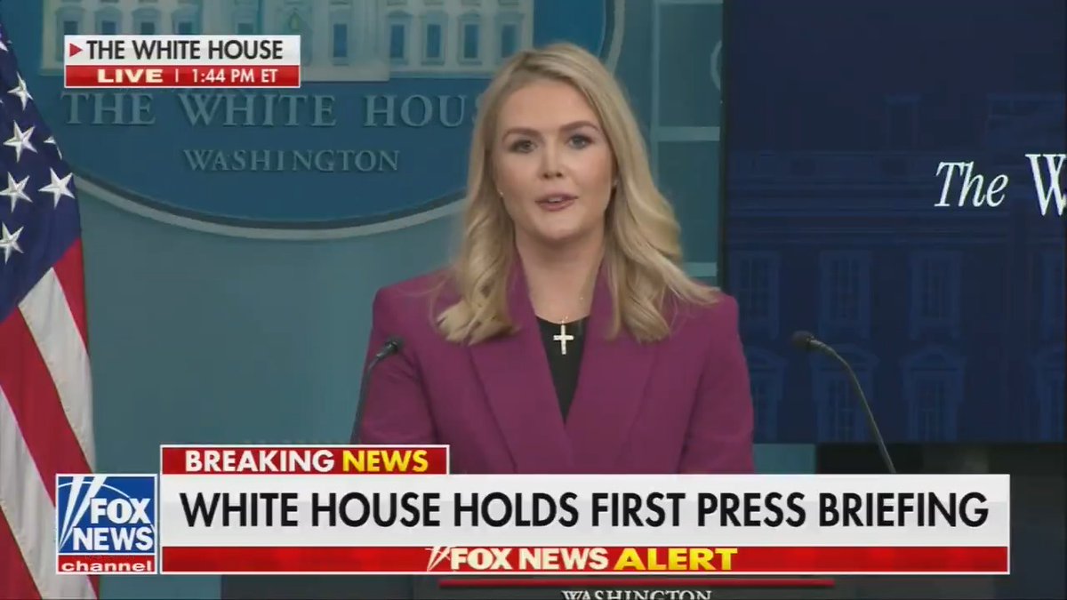 new press sec karoline leavitt: “legal opinion” of trump administration is that “birthright citizenship is unconstitutional”