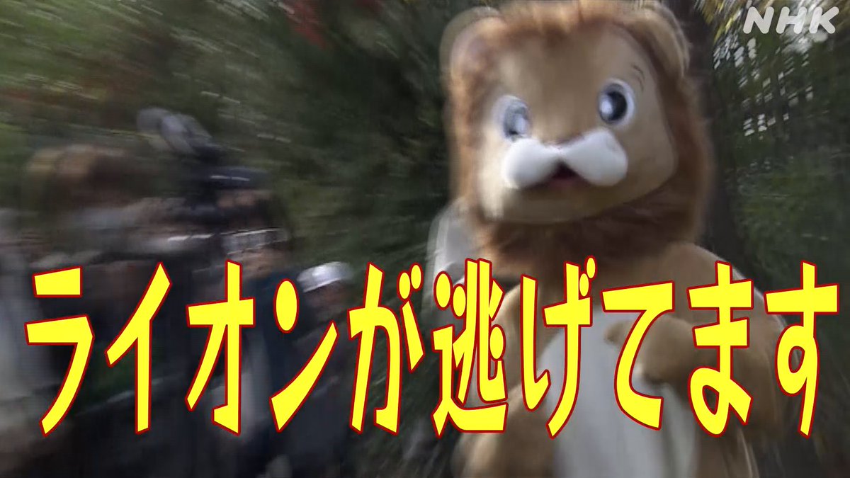 “巨大地震でライオンが脱走！”という想定の訓練まだ面白い