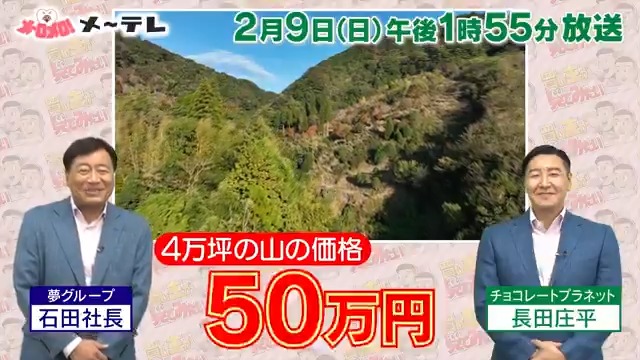 今回の目玉商品は…🔍💥 【約4万坪の山⛰50万円】 #買い主がみてみたい #2月9日ごご1時55分放送 #チョコレートプラネット #井森美幸 #某通販番組風 #石田社長は番組に出演しません #テレ朝系列全国ネット