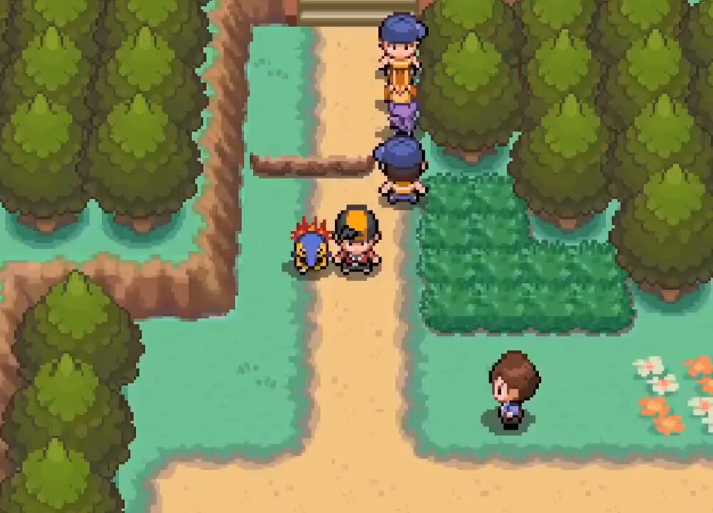 Route 30, from Pokémon HeartGold and SoulSilver (2009)