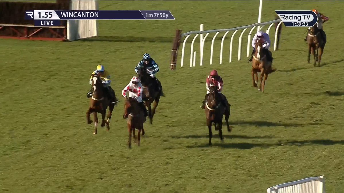 Bargain buy โฌ๏ธ๐ฅ Champagne Chic, picked up for just โฌ1,000, gets the better of some rivals with decent enough form in the book on just his second racecourse start. Jeremy R.M. Scott might just have a good one on his hands! Wincanton Racecourse