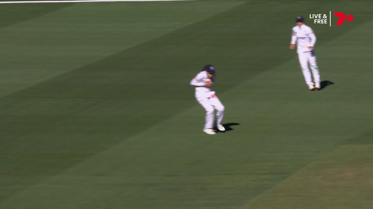 Oh ... no. Another dropped catch by England... #Ashes