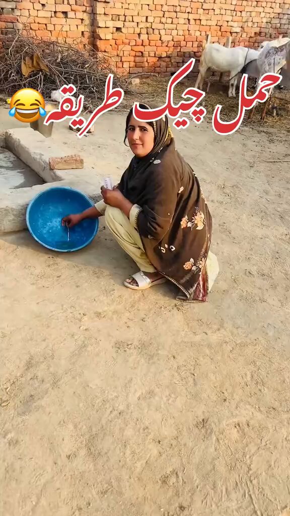 زمانہ جدید ہو گیا۔۔۔ بکری کی پریگنینسی چیک کرنے کا طریقہ۔۔۔۔