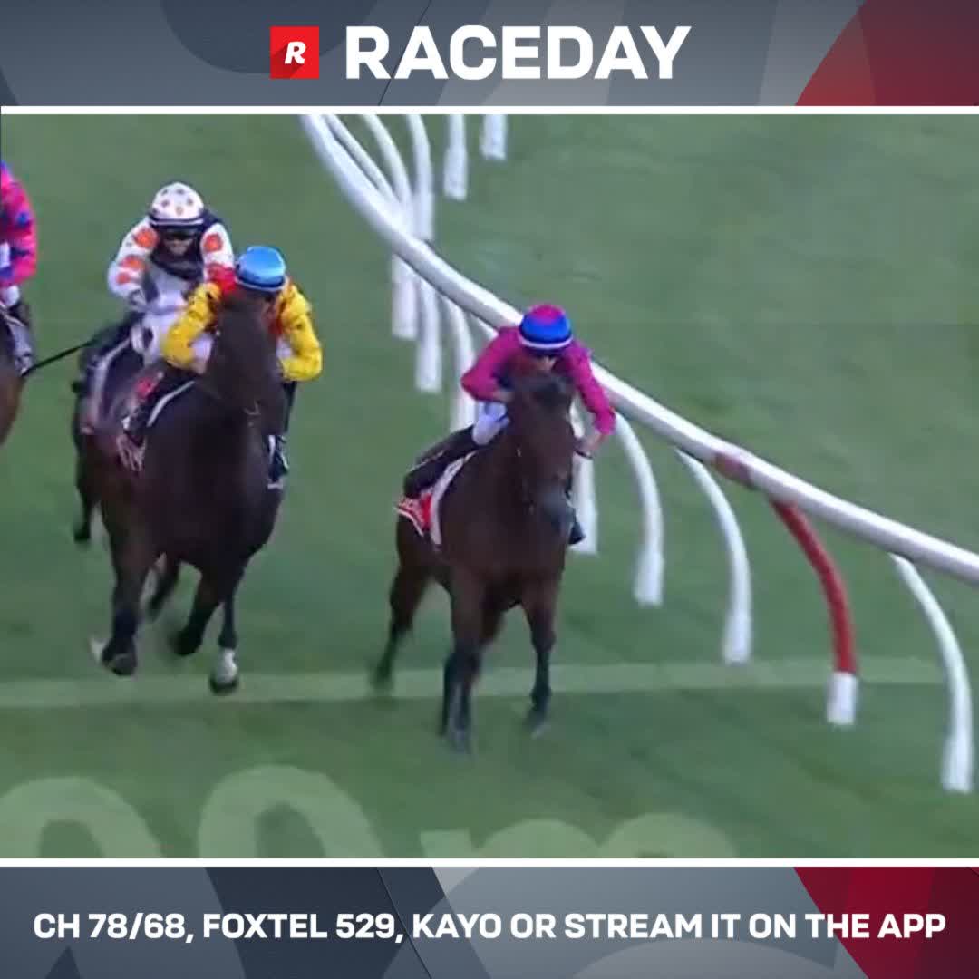 Lazy Susan works hard late ⭐️ The 5YO mare stole victory in the final bound of the race 🙌 Logan Bates Gavin Bedggood Racing