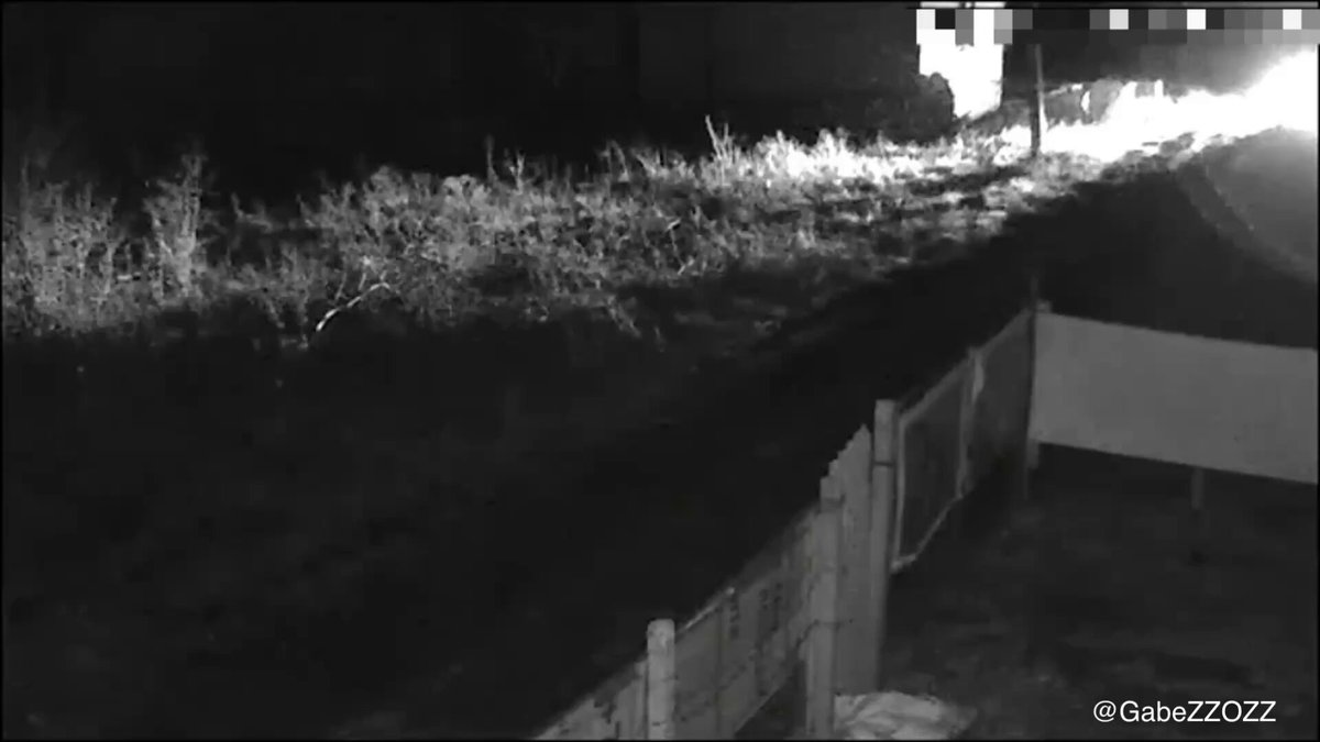 This is insane! Zelensky has gone mad! Zelensky’s body snatchers are now conducting raids in villages at night, kidnapping every man they see walking on the streets. The poor man seen in this video tried to escape but was caught, beaten unconscious, dragged into a van, and most likely, his family never heard from him again.