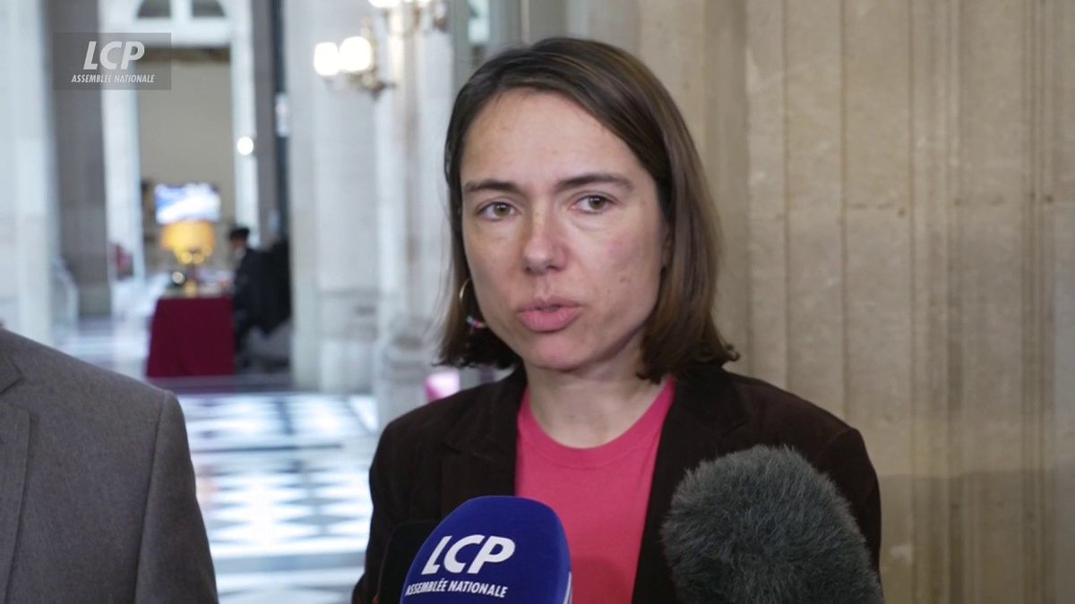 "On ne peut pas dire que c'est une victoire pour Les Républicains, c'est une victoire pour la France", estime la sénatrice LR Christine Lavarde. #DirectAN #Budget #CMP