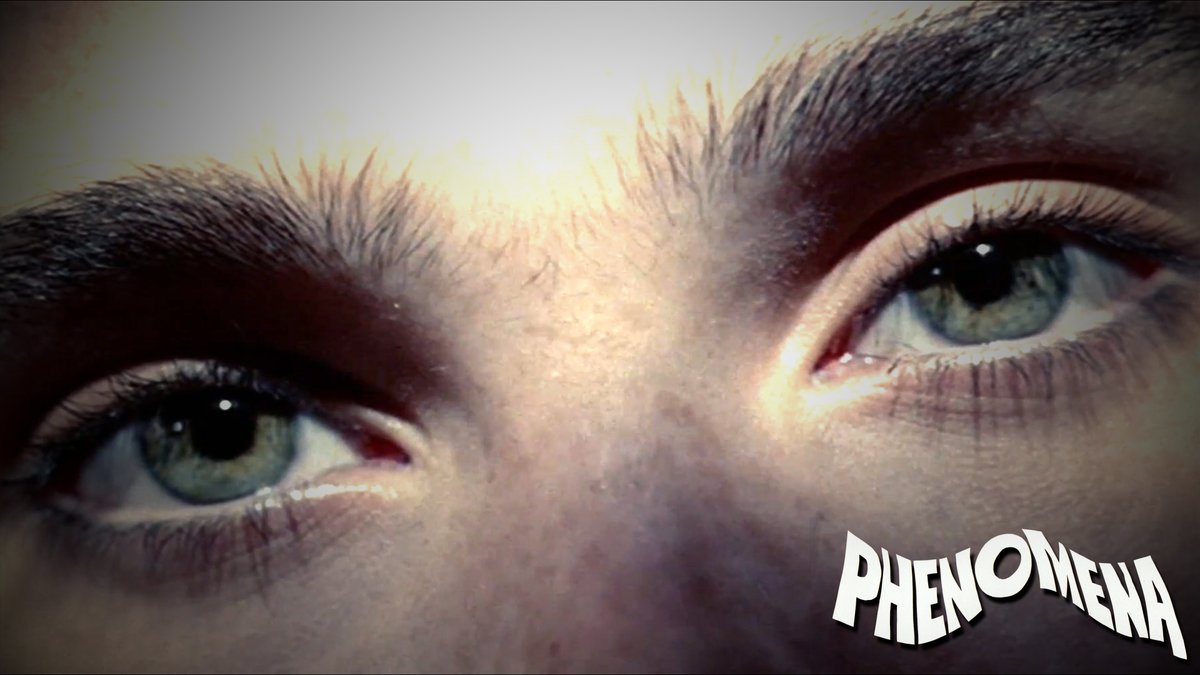 Razor blades, telepathy and skin-crawling terror! Dario Argento's PHENOMENA turns 40 years old today! Released in 🇮🇹 cinemas #OnthisDay in 1985