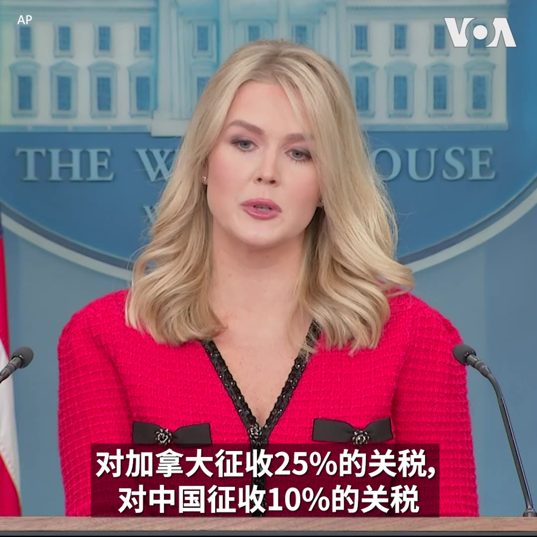 白宫新闻秘书卡罗琳·莱维特(Karoline Leavitt)1月31日在记者会上表示,特朗普总统将于2月1日起对中国征收10%的关税,对墨西哥及加拿大征收25%的关税。她说,“这些国家都让非法毒品得以涌入美国。” 莱维特表示,在追究新冠疫情起源的责任方面,特朗普总统目前并未表示将对中国采取何种行动。