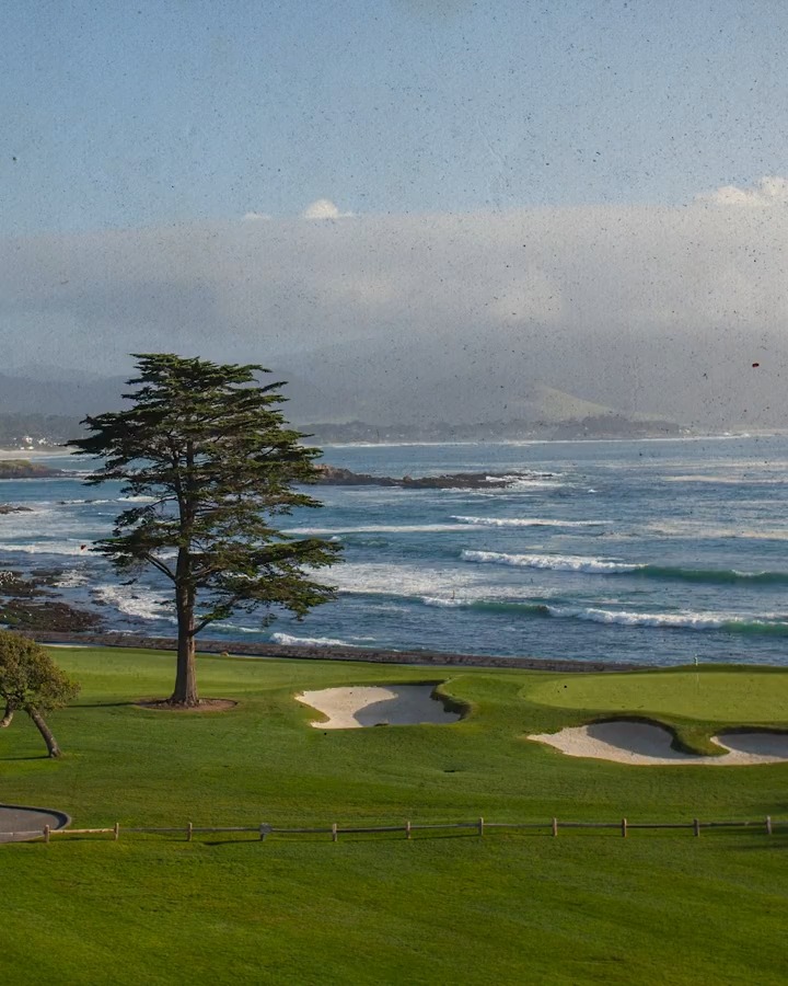 The story behind Pebble Beach's iconic Cypress Tree. ๐