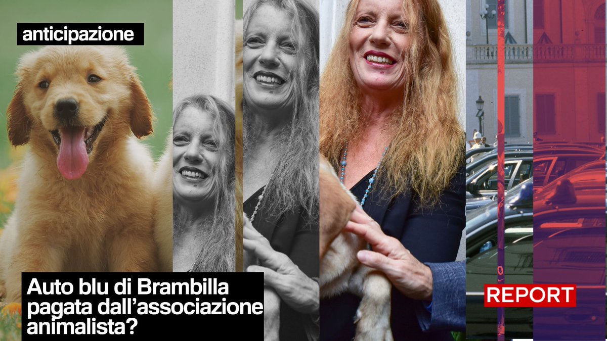 Report è entrato in possesso di materiale esclusivo riguardante Leidaa, associazione per la protezione degli animali di cui è presidente Michela Vittoria Brambilla. Risulterebbe che l'associazione abbia pagato 7515 euro per le auto blu usate da Brambilla. Domenica 20.30 #Rai3👇