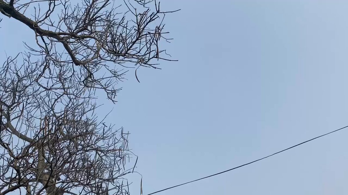 Havada bulut, karada mangal yakan yok. Lâkin… bu ne dumandır?
