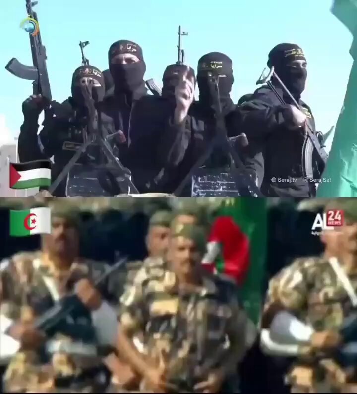 هتاف واحد… جنود القسام، وجنود الجيش الجزائري