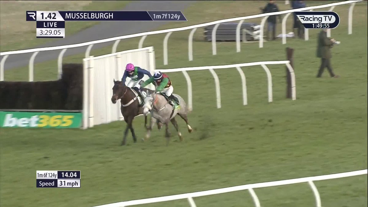 St Pancras springs a 33/1 surprise in a dramatic bet365 Scottish Triumph Hurdle in a big success for Surrey-based Toby Lawes Racing. Great to hear all equine athletes up OK after a dramatic final flight in our £40,000 prize