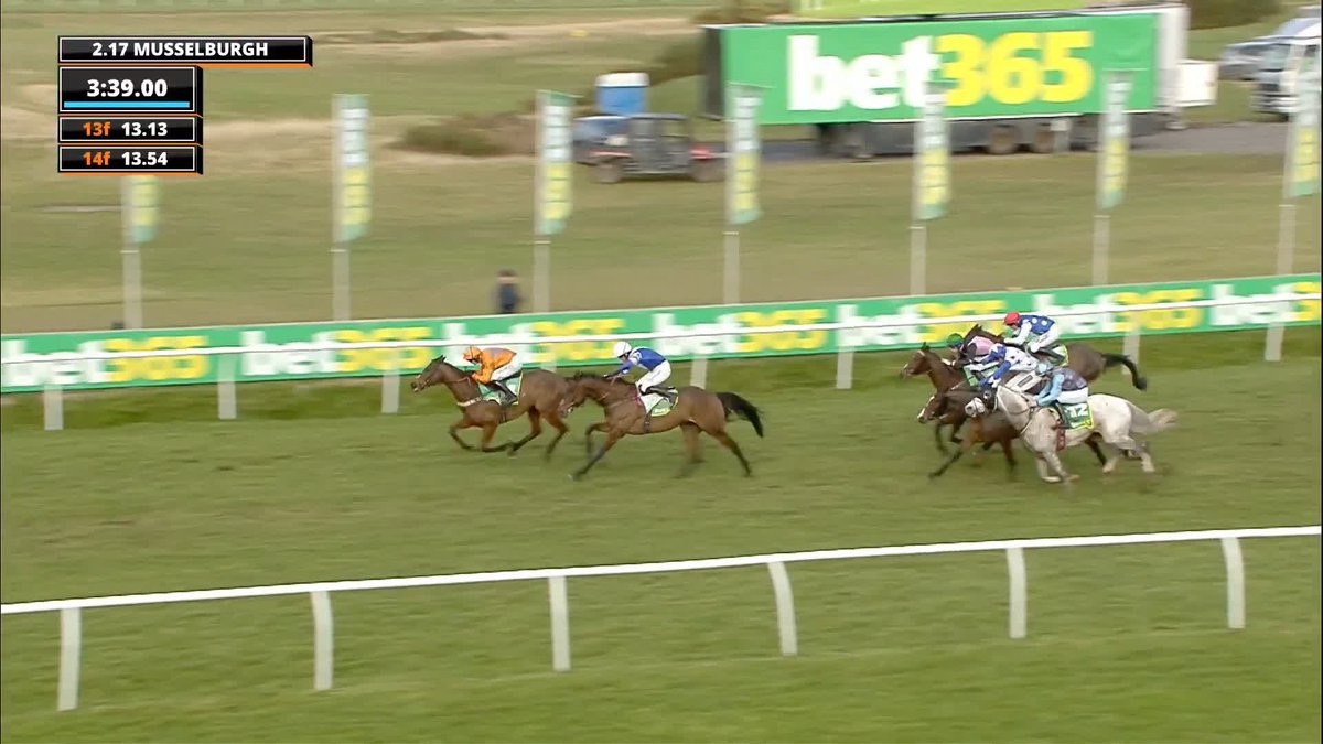 Welsh Charger charges home to beat Afadil to win the bet365 Scottish County Handicap Hurdle! 🏴 🥇 #ITVRacing | Musselburgh Racecourse