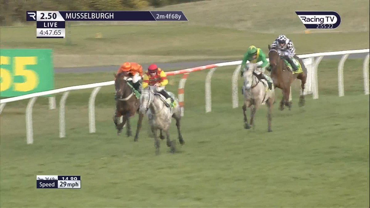 👏 Classy performance from The Kalooki Kind to win £100,000 Scottish Champion Chase Musselburgh Racecourse