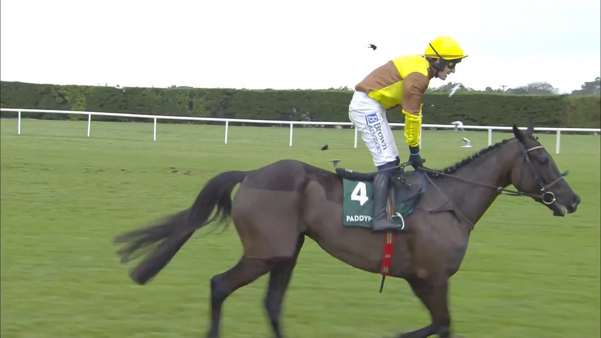 Get the Sound On! 🔉 Listen to the Leopardstown crowd react to Galopin Des Champs victory in the Irish Gold Cup! #ITVRacing