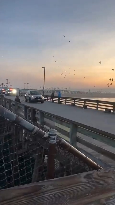 Homicide suspect died in a shootout with police at the end of Newport Beach Pier earlier this morning... #CityLife #beach #SaltLife #california #police #crime #fishing Video by @ukulelejeff