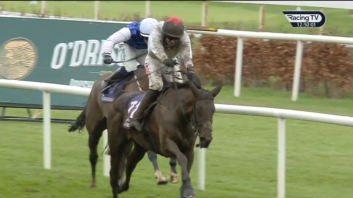 🗣️ "They were buying her for this race - and this race alone." Emotional Emmet Mullins🇮🇪 reflects upon the deeply poignant success of 𝐕𝐢𝐬𝐜𝐡𝐢𝐨 in the Irish Stallion Farms Paddy And Maureen Mullins Mares' Handicap Hurdle Leopardstown RC #DublinRacingFestival